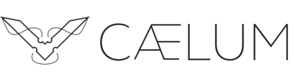 caelumcomputers.com